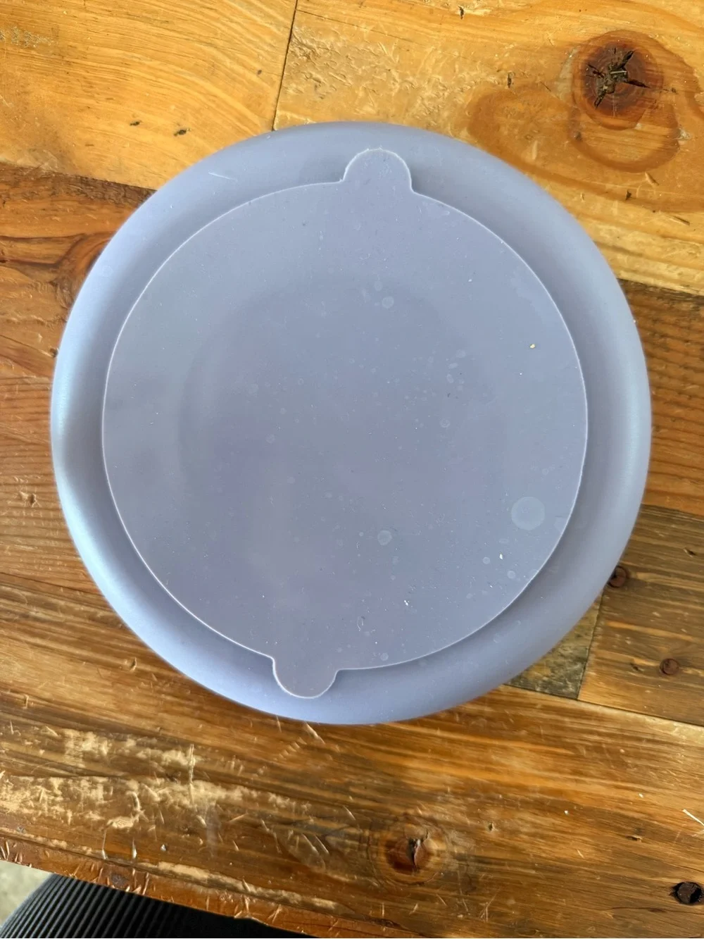Slow Feeder Dog Bowl - Gray Scenic Design